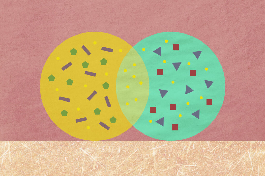 Undertaking Integration