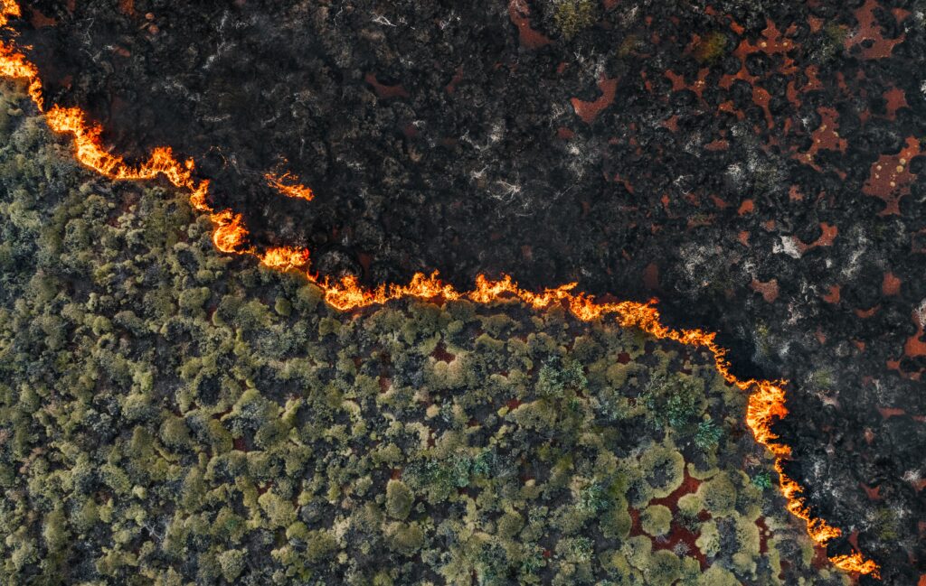 Primary Focus on Secondary Perils